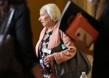 Anita Dunn, Biden’s brawler-in-chief, looks to 2024 | CNN Politics