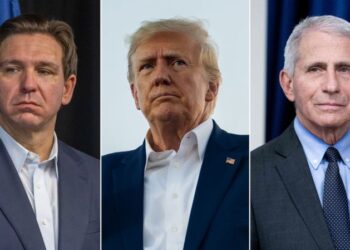 DeSantis campaign posts fake images of Trump hugging Fauci in social media video | CNN Politics