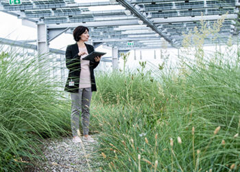 EPO and EIB to conduct a study on clean and sustainable technologies