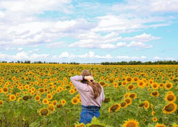 MEPs want better protection for quality agricultural products