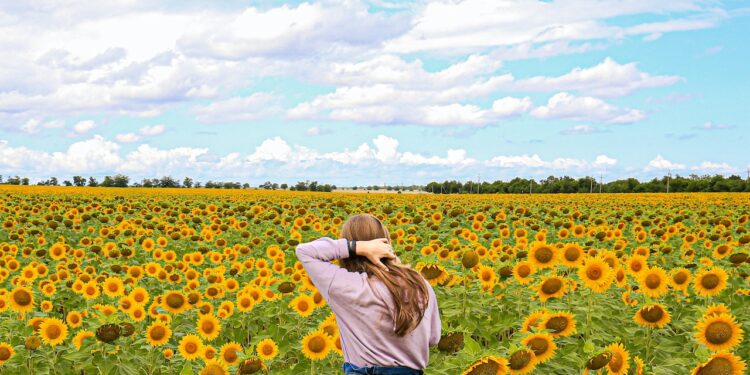 MEPs want better protection for quality agricultural products