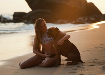 Dogo – Puppy and Dog Training: App Review