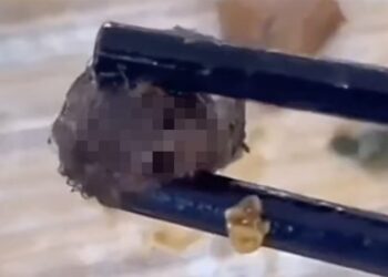 Strange thing found in student’s meal is rat head, Chinese officials rule after food scare anger | CNN