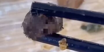 Strange thing found in student’s meal is rat head, Chinese officials rule after food scare anger | CNN