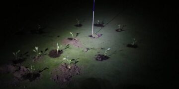 Climate activists block golf course holes with seedlings and cement to protest water use | CNN
