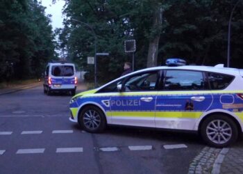 Germany warns of suspected lioness on the loose in Berlin | CNN