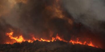 Greek police arrest dozens for arson as EU’s largest-ever wildfires rage | CNN