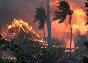 Hawaii delayed diverting water that could have helped Maui wildfires, letters obtained by CNN allege | CNN