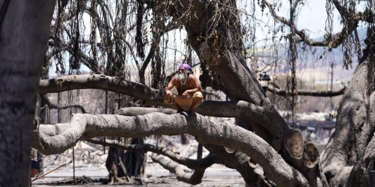 Live updates: Maui wildfires death toll rises, Lahaina recovery begins