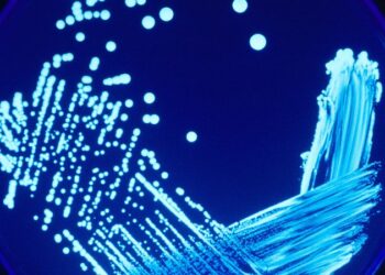 Polish authorities probe whether deadly Legionnaires’ outbreak was result of water tampering | CNN