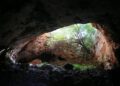 Ancient humans dug up remains of ancestors to use as tools, study suggests | CNN