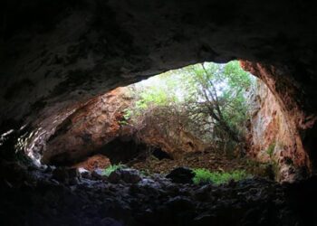 Ancient humans dug up remains of ancestors to use as tools, study suggests | CNN