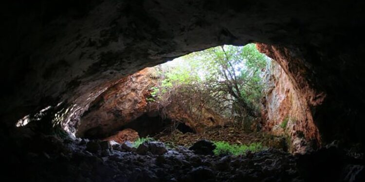 Ancient humans dug up remains of ancestors to use as tools, study suggests | CNN