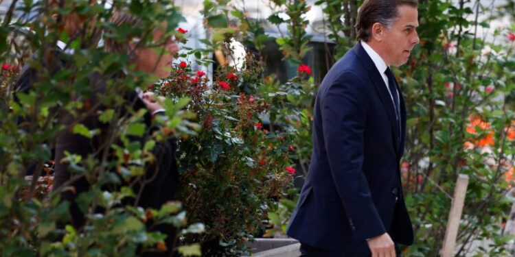 Hunter Biden tells court he plans to plead not guilty to gun charges | CNN Politics