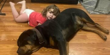 Missing toddler found sleeping in woods using her dog as a pillow after walking 3 miles barefoot | CNN