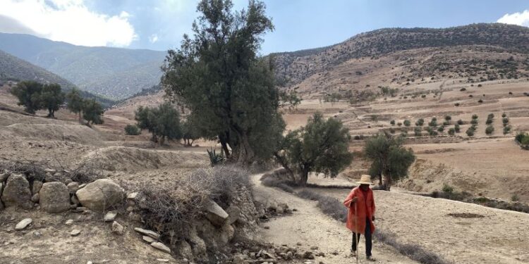 Morocco’s quake survivors must rebuild their homes and lives. But decimated communities can do little to help | CNN Morocco’s quake survivors must rebuild their homes and lives. But decimated communities can do little to help | CNN