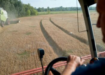 Poland, Slovakia, and Hungary to defy EU and extend ban on Ukrainian grain imports | CNN