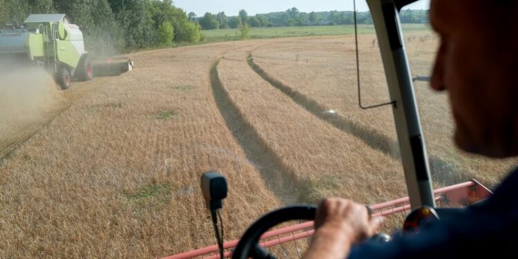 Poland, Slovakia, and Hungary to defy EU and extend ban on Ukrainian grain imports | CNN