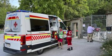 Rhino kills zookeeper and seriously injures another in Austria | CNN