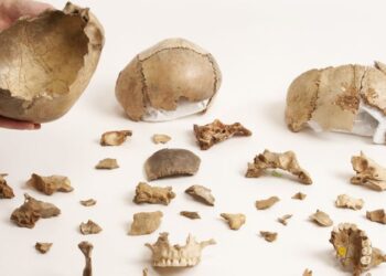 Cannibalism was a common funeral ritual in Europe 15,000 years ago, study finds | CNN
