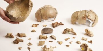 Cannibalism was a common funeral ritual in Europe 15,000 years ago, study finds | CNN