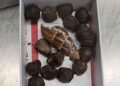 Customs seizes box of giraffe poop at Minnesota airport | CNN