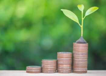 Green bonds: more transparency, no greenwashing | News | European Parliament