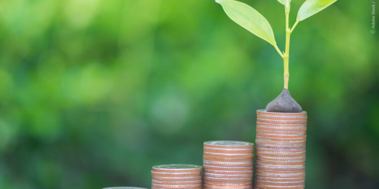 Green bonds: more transparency, no greenwashing | News | European Parliament