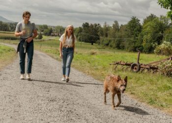 ‘Pet Sematary: Bloodlines’ digs up part of Stephen King’s book and brings it to life | CNN