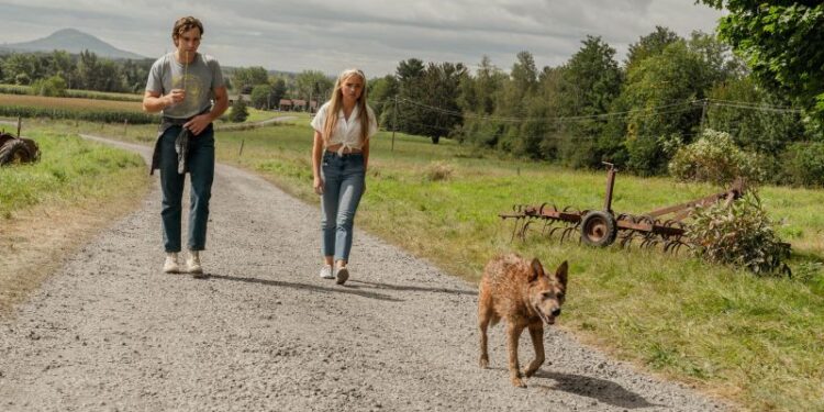 ‘Pet Sematary: Bloodlines’ digs up part of Stephen King’s book and brings it to life | CNN ‘Pet Sematary: Bloodlines’ digs up part of Stephen King’s book and brings it to life | CNN