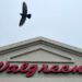 Walgreens Boots Alliance names Tim Wentworth new CEO | CNN Business