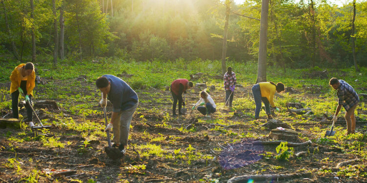 Carbon removals: extra measures to reach climate neutrality  | News | European Parliament