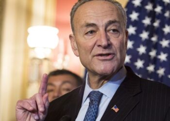 Chuck Schumer Fast Facts | CNN