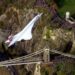 Concorde’s last flight: Is this the greatest aviation photograph of all time? | CNN