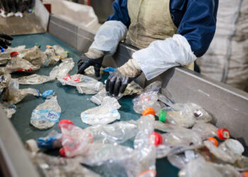 Parliament adopts revamped rules to reduce, reuse and recycle packaging | News | European Parliament