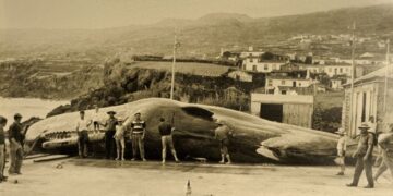 The islands that went from whale hunting to whale watching | CNN