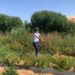 This Moroccan startup is growing crops in the desert | CNN Business