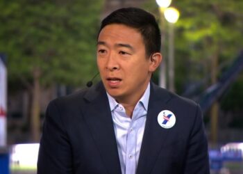 Andrew Yang Fast Facts | CNN Politics