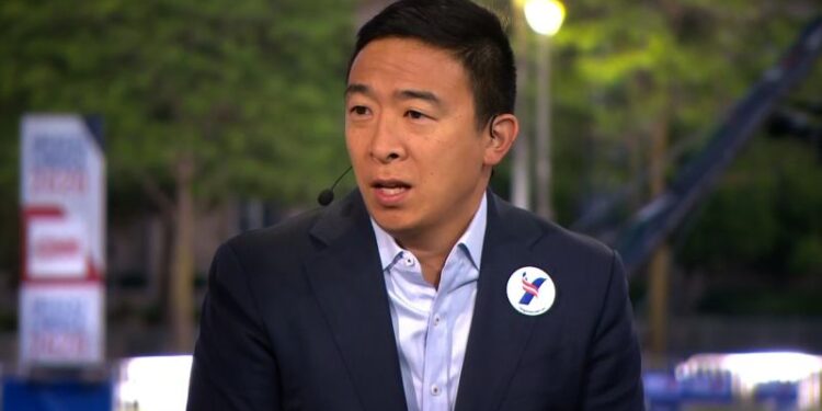 Andrew Yang Fast Facts | CNN Politics