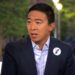 Andrew Yang Fast Facts | CNN Politics