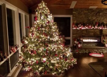 How to give your Christmas tree a second life after the holiday | CNN