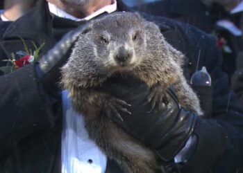 Groundhog Day Fast Facts | CNN