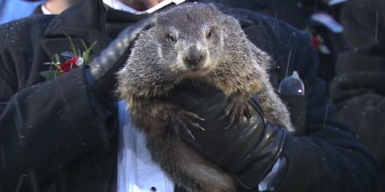 Groundhog Day Fast Facts | CNN