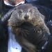Groundhog Day Fast Facts | CNN
