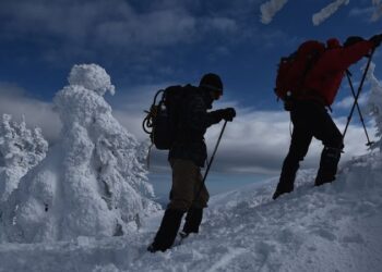 You’re trapped in a blizzard. Do you know what to do next to survive? | CNN