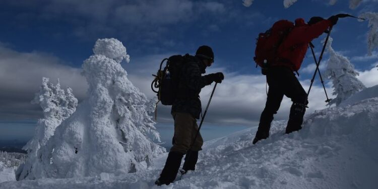 You’re trapped in a blizzard. Do you know what to do next to survive? | CNN