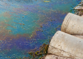 Environmental crimes: MEPs adopt extended list of offences and sanctions | News | European Parliament