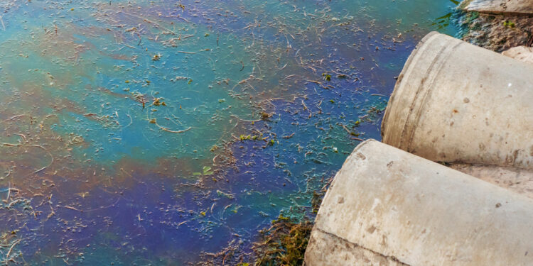 Environmental crimes: MEPs adopt extended list of offences and sanctions | News | European Parliament