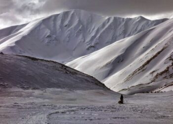 Iditarod Fast Facts | CNN