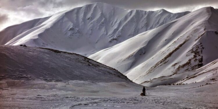 Iditarod Fast Facts | CNN